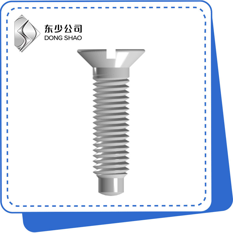 Sgriubha ceann countersunk slotted le làn phuing coin